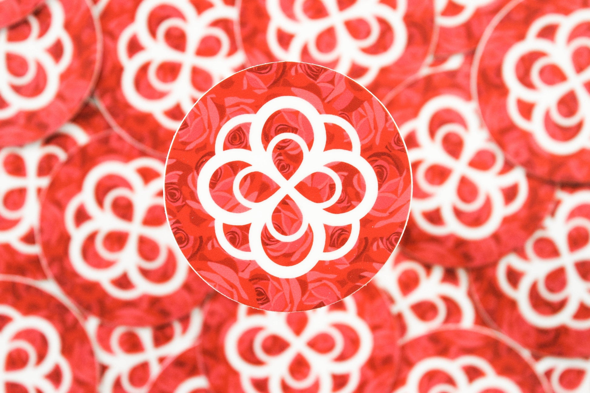AOII Rose
